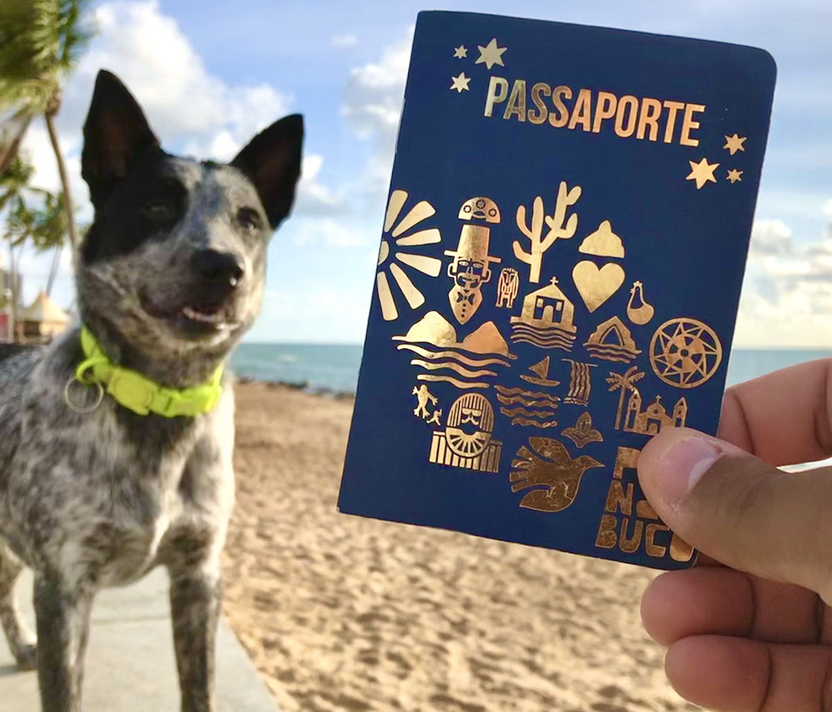 Projeto Bora Pernambucar