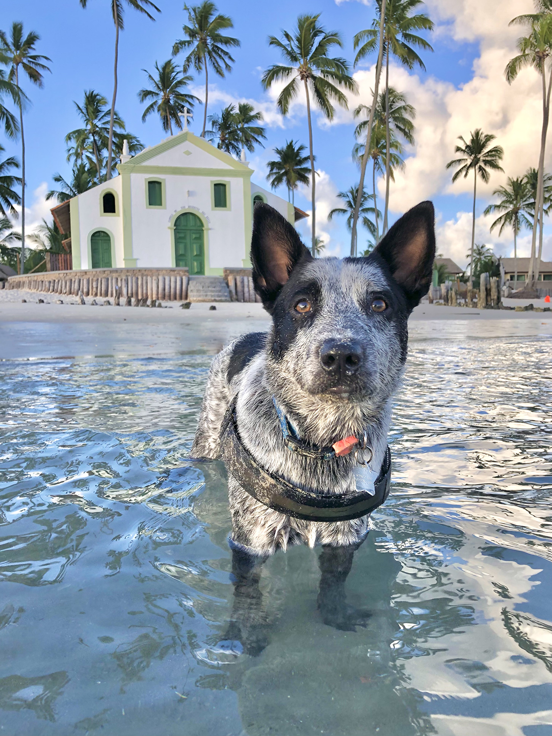 Trip para Carneiros – PE