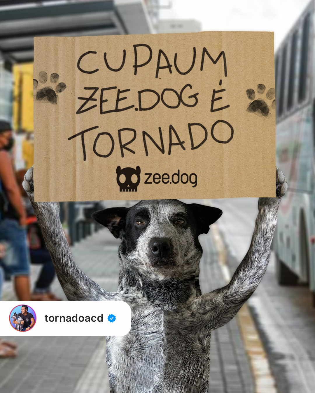 Cupom ZeeDog é TORNADO para +10% OFF